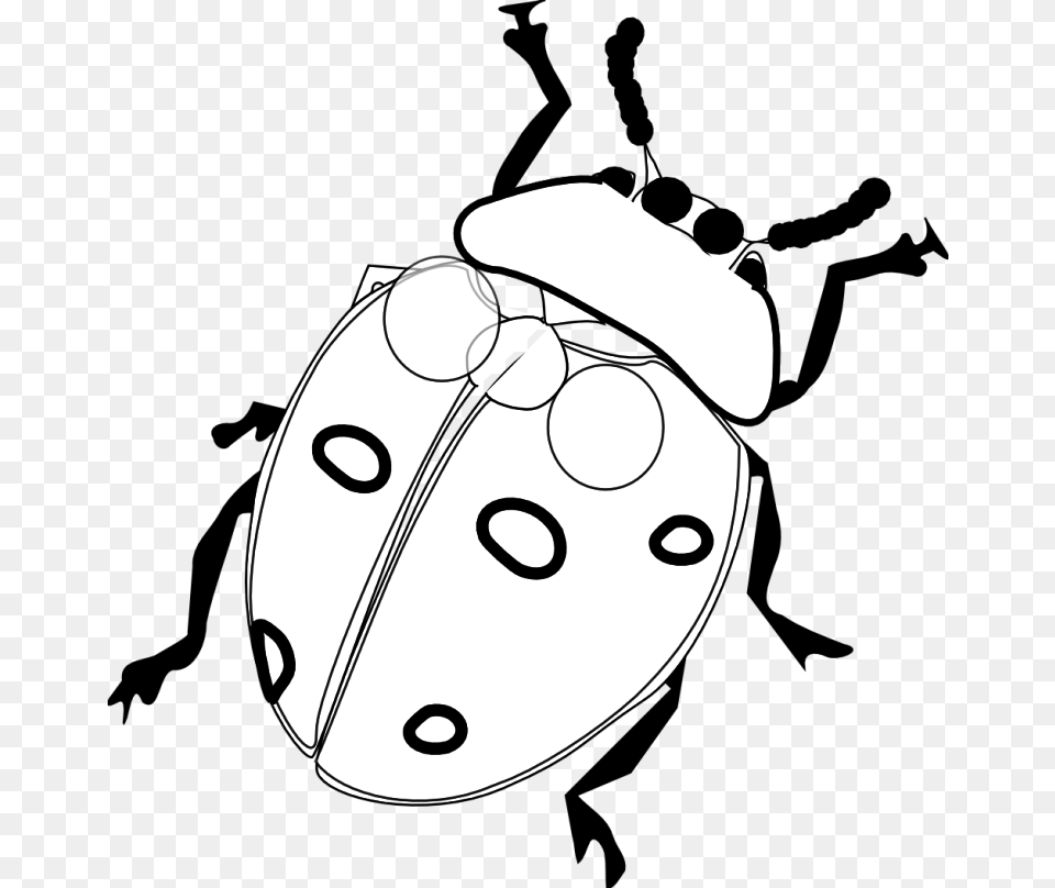 Ladybug Clipart Pencil, Stencil Png Image