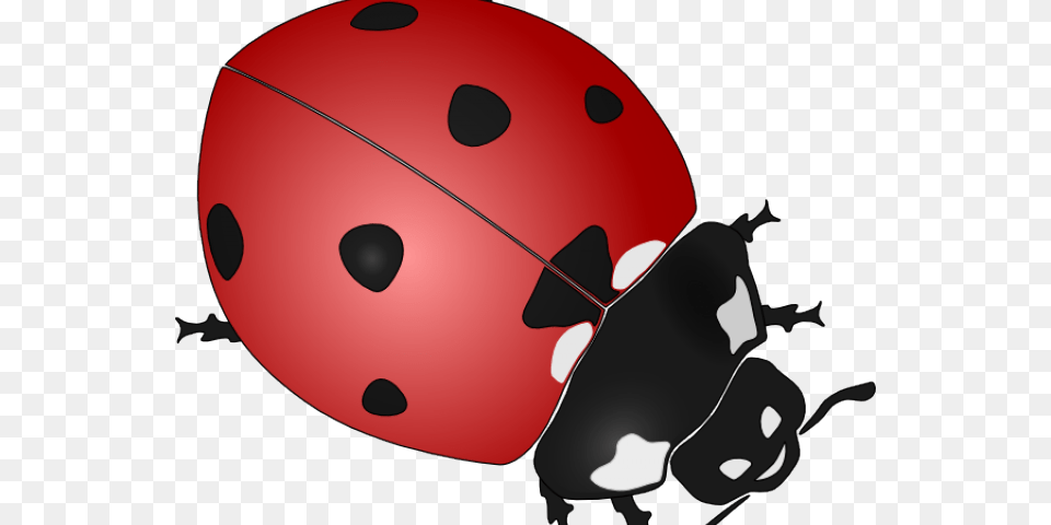 Ladybug Clipart Simple, Animal Free Transparent Png