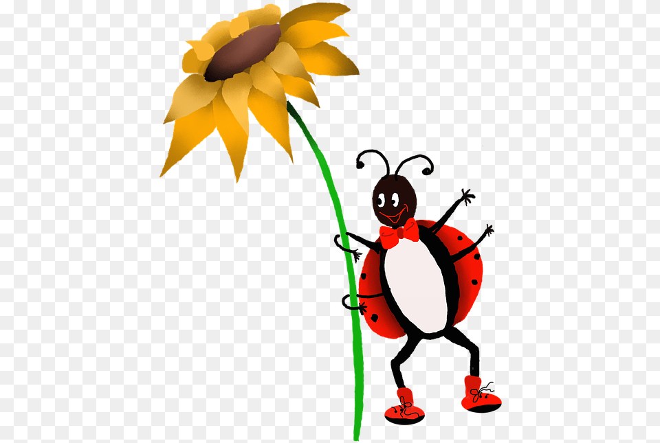 Ladybug Clipart Spring, Plant, Flower, Daisy, Petal Free Png