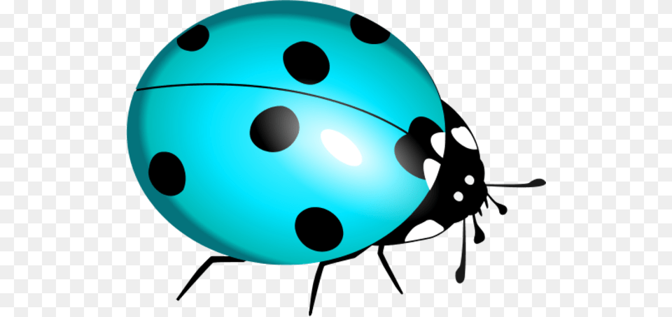 Ladybug Clipart Teal Blue Ladybug, Sphere, Disk, Pattern, Hockey Png Image