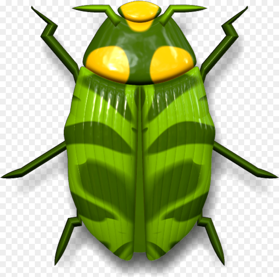 Ladybug Dark And Light Green Beetle, Animal, Firefly, Insect, Invertebrate Png