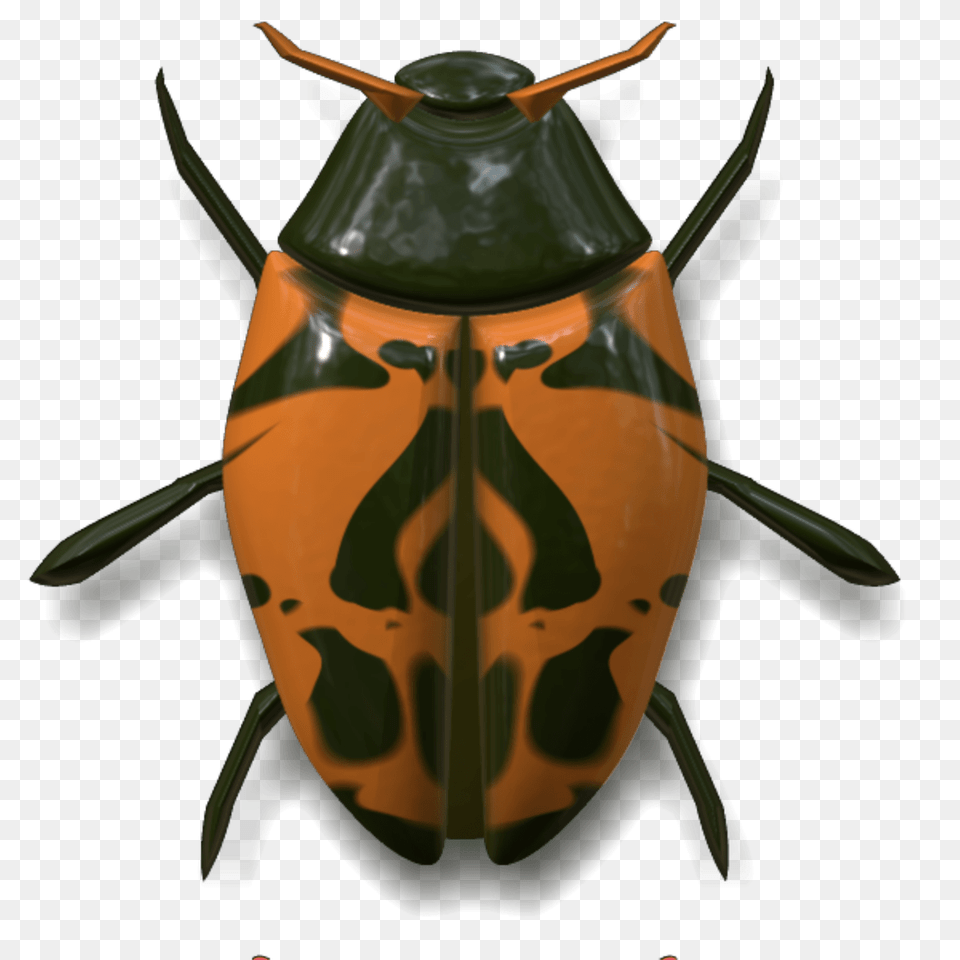 Ladybug Dark Green And Orange, Animal, Ammunition, Grenade, Weapon Free Transparent Png