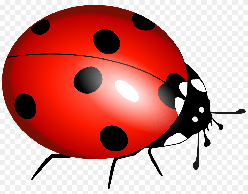 Ladybug Flying Clipart, Pattern, Disk Free Transparent Png