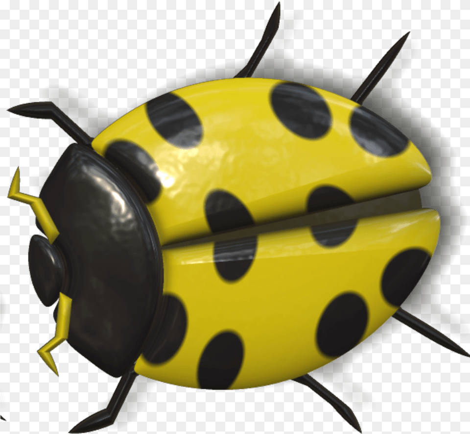 Ladybug Hd Yellow Ladybug, Animal, Aircraft, Airplane, Transportation Png