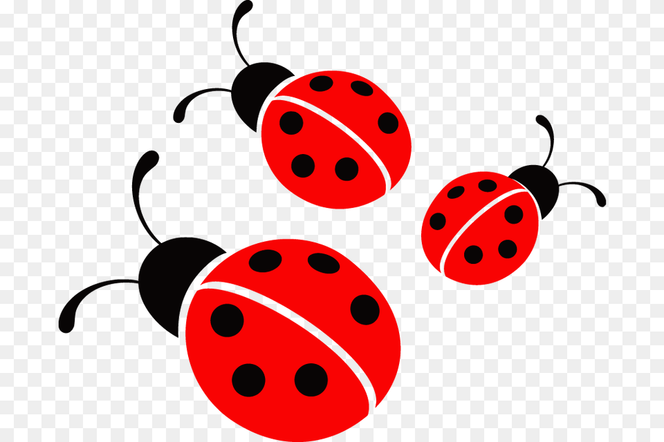 Ladybug Icon, Animal, Insect, Invertebrate Png Image