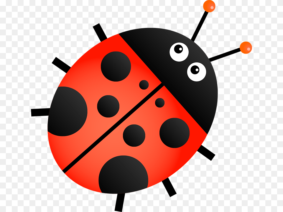 Ladybug Insect Animal Cartoon Bug Beetle Ladybird Transparent Background Ladybug Clipart, Disk Free Png Download