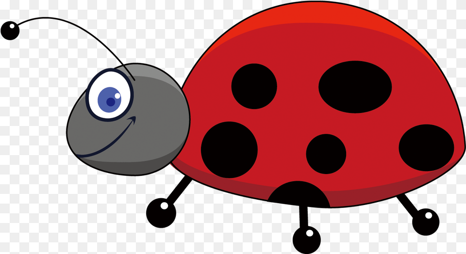 Ladybug Insect Image Insects Cartoons Free Png Download