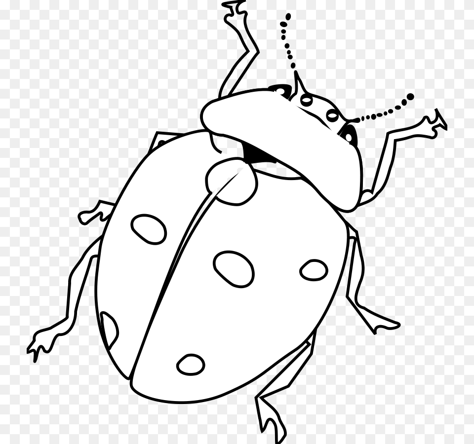 Ladybug Line Art Clipart For Web, Baby, Person, Stencil, Animal Png Image