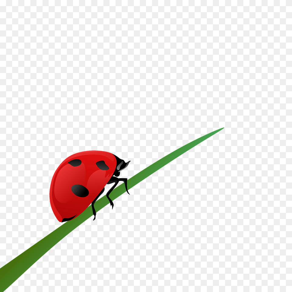 Ladybug On A Blade Of Grass Clipart, Animal, Insect, Invertebrate Free Png