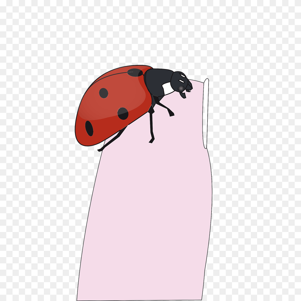 Ladybug On Finger Clipart, Animal, Insect, Invertebrate Free Png