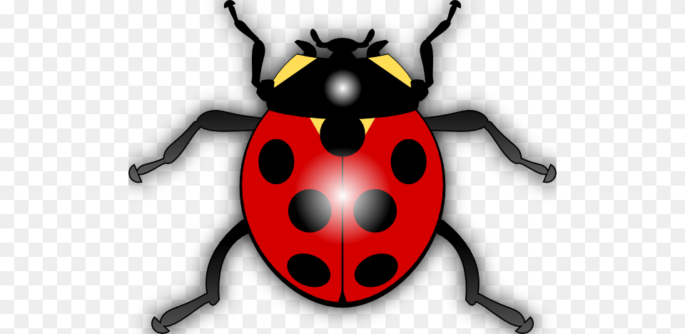 Ladybug Outline Clipart, Baby, Person Free Png