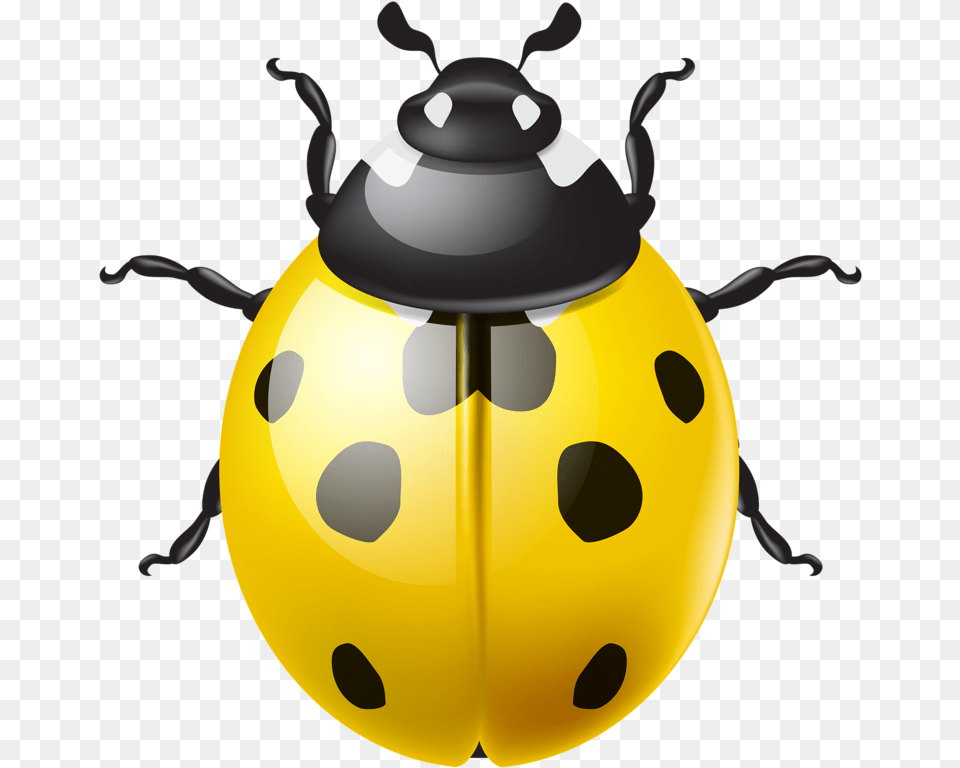 Ladybug Transparent, Animal, Ammunition, Grenade, Weapon Png