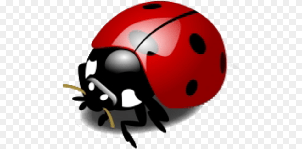 Ladybug Transparent Picture Lady Bird Clipart, Animal Free Png