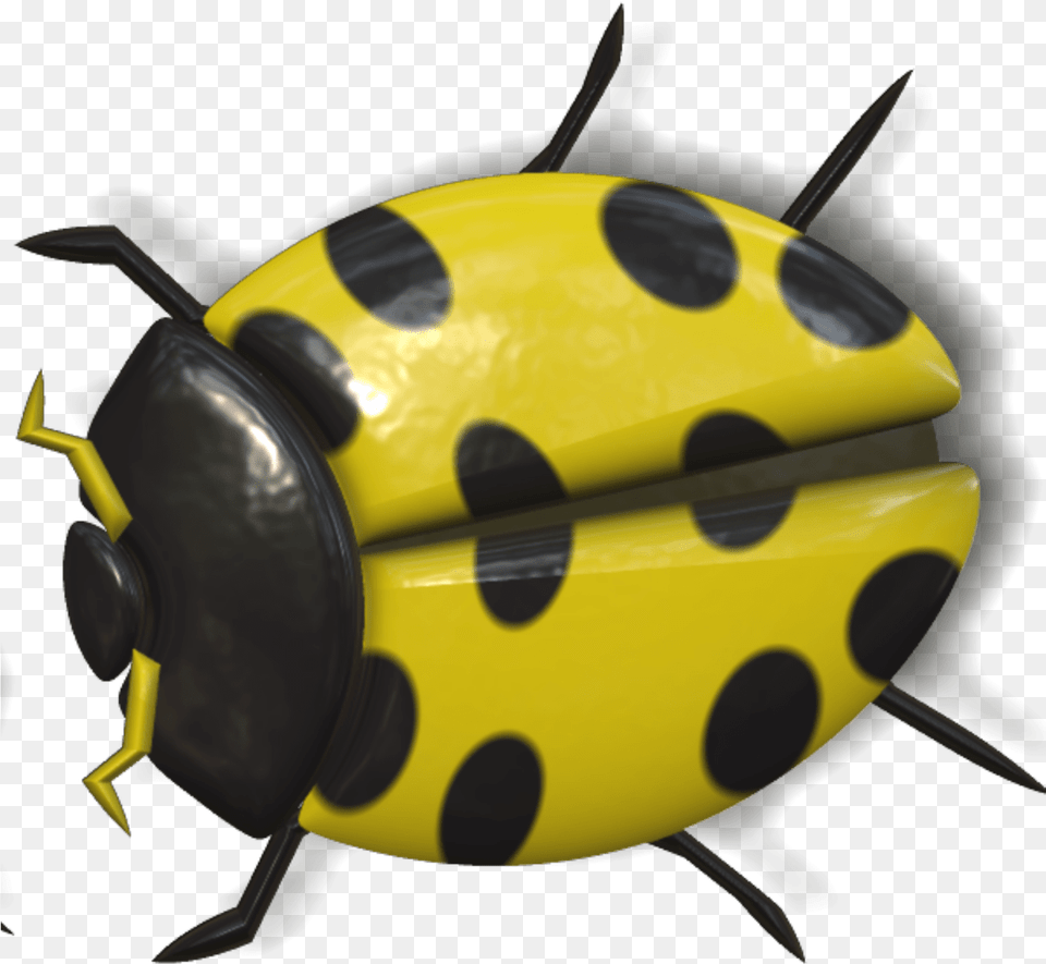 Ladybug Yellow And Black Yellow Ladybug, Animal, Aircraft, Airplane, Transportation Free Transparent Png