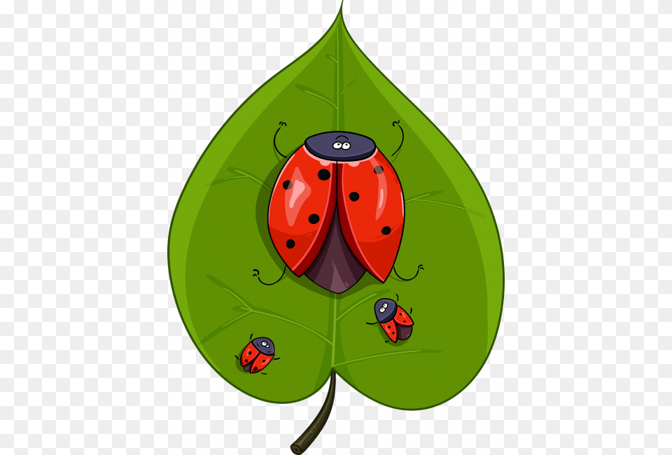 Ladybugs Leaf Ladybird Beetle, Plant, Animal Png