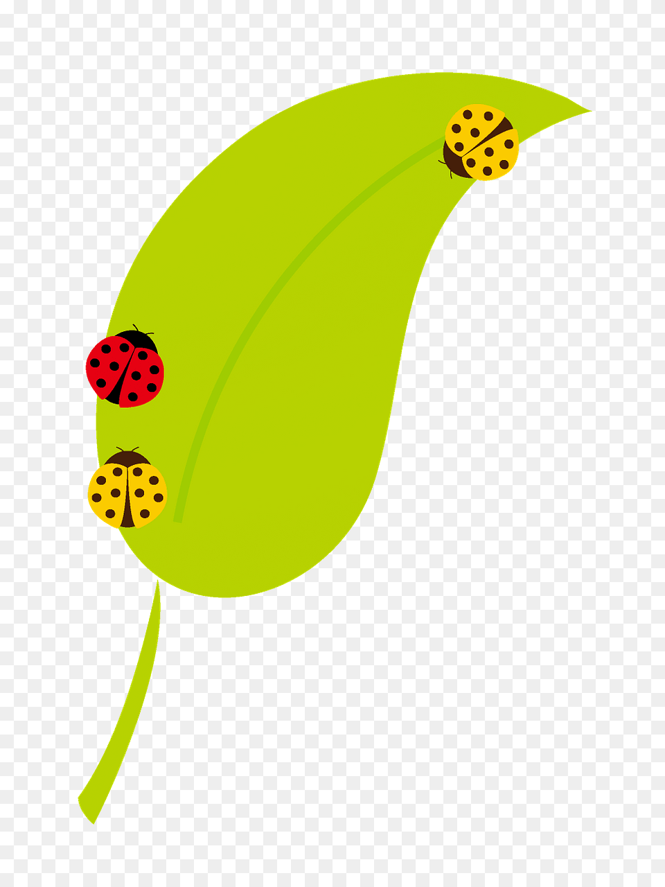 Ladybugs On A Leaf Clipart, Plant, Flower, Petal, Animal Free Png Download