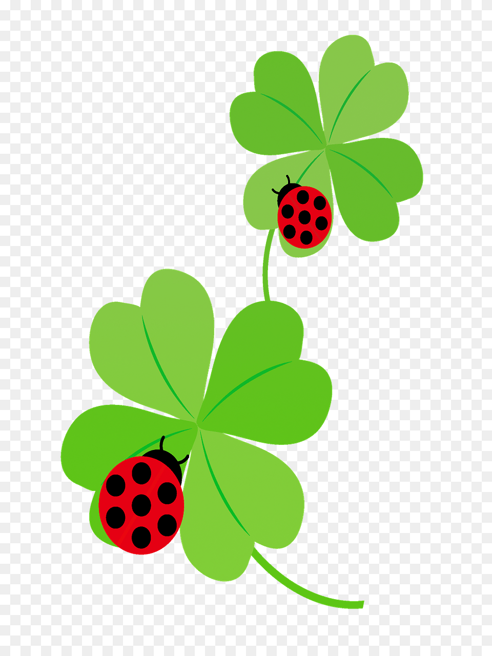 Ladybugs On Clover Leaves Clipart, Art, Graphics, Fruit, Berry Png Image