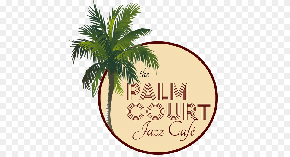 Lafete News, Palm Tree, Plant, Tree, Summer Png Image