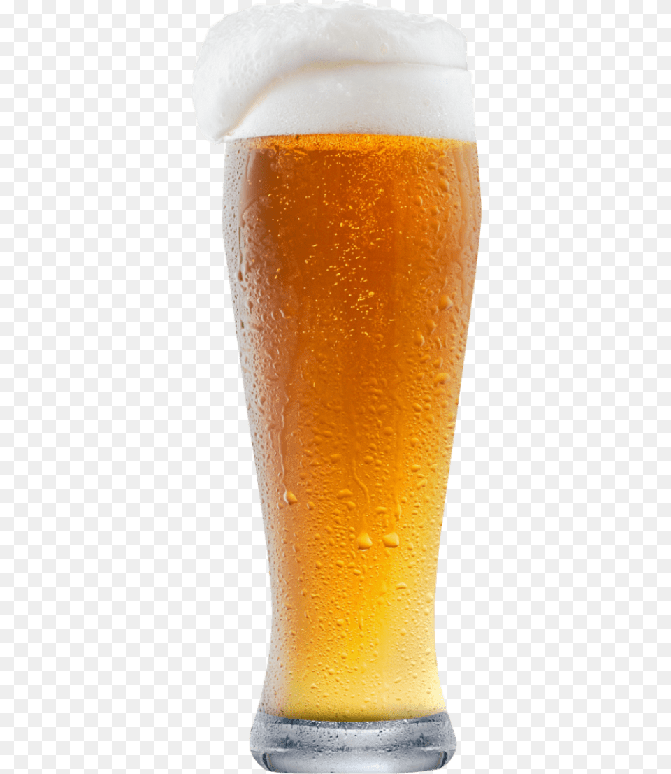Lager, Alcohol, Beer, Beer Glass, Beverage Png
