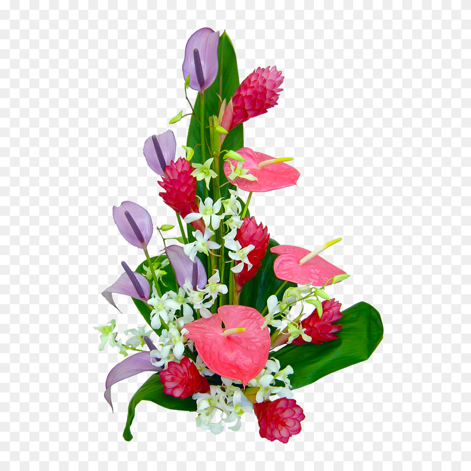 Lahaina Orchid Tropical Hawaiian Flowers Hawaiian Flowers, Flower, Flower Arrangement, Flower Bouquet, Plant Png