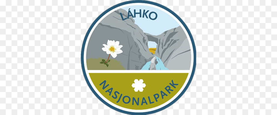 Lahko Nasjonalpark, Daisy, Flower, Plant, Outdoors Png Image