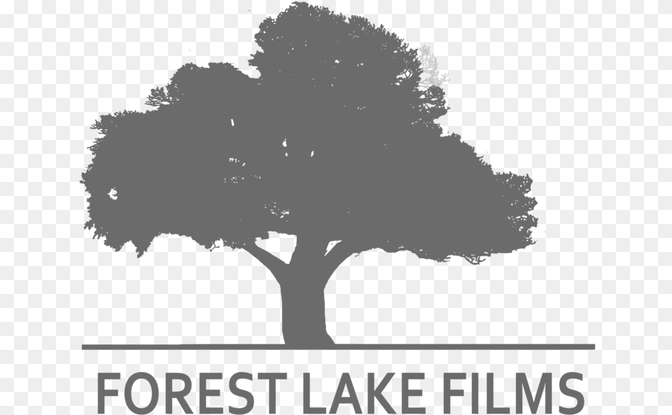 Lake, Oak, Plant, Tree, Sycamore Free Png