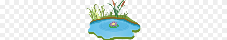 Lake, Outdoors, Water, Pond, Nature Free Png