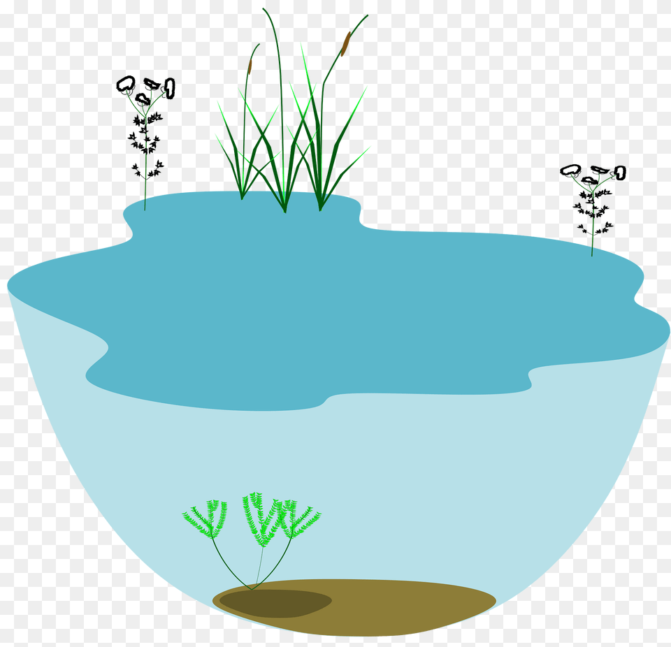 Lake Clipart, Plant, Potted Plant, Tub, Pottery Free Png
