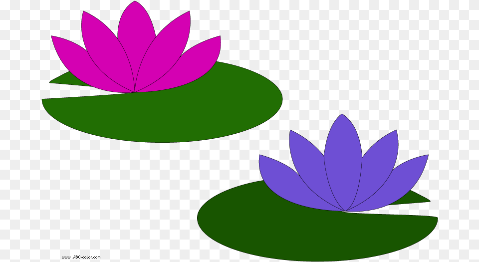 Lake Clipart Lily Pad Pond Clipart Lily Pad Flower, Plant, Purple, Pond Lily, Outdoors Free Png