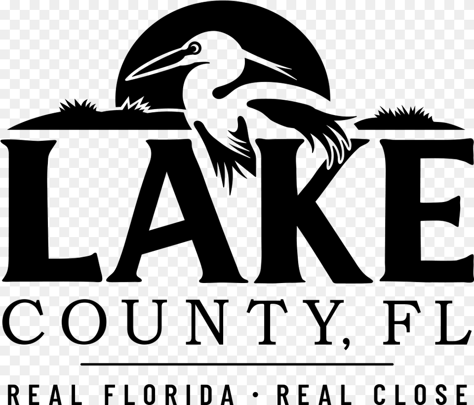 Lake County Fl Pelican, Gray Png