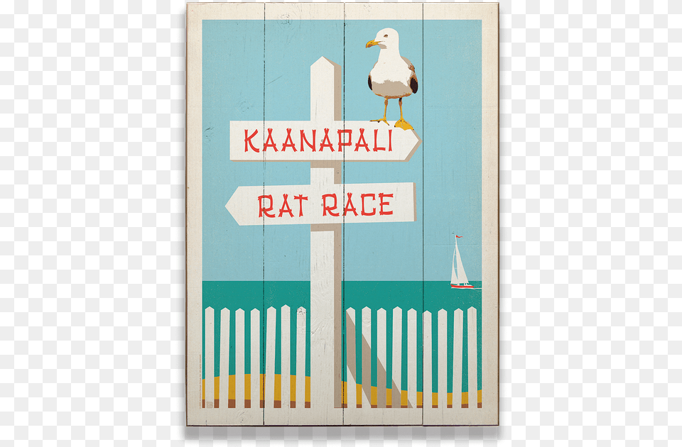 Lake House Rat Race Canvas, Animal, Bird, Seagull, Waterfowl Free Png Download