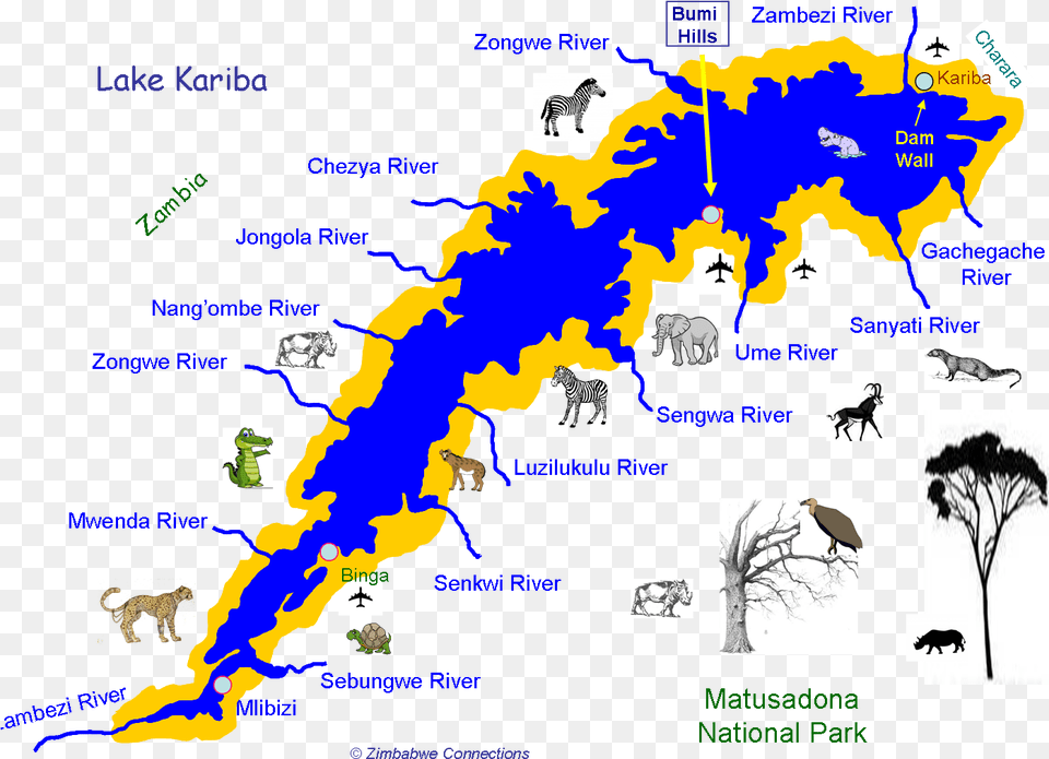 Lake Kariba Before Dam, Plot, Chart, Animal, Wildlife Free Png Download