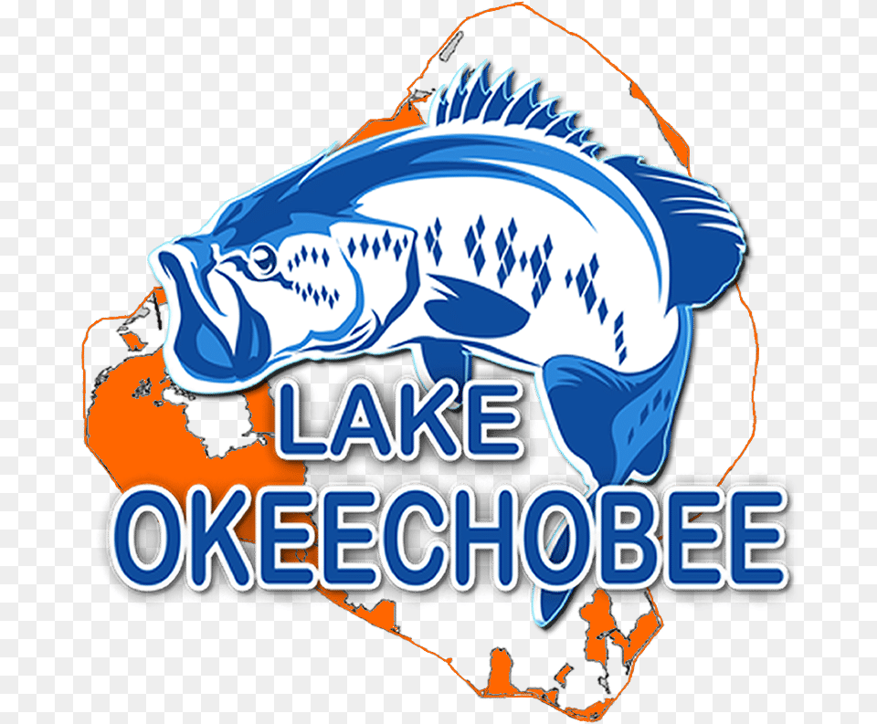 Lake Okeechobee Bass Fishing Graphic Design, Baby, Person, Animal, Fish Png Image