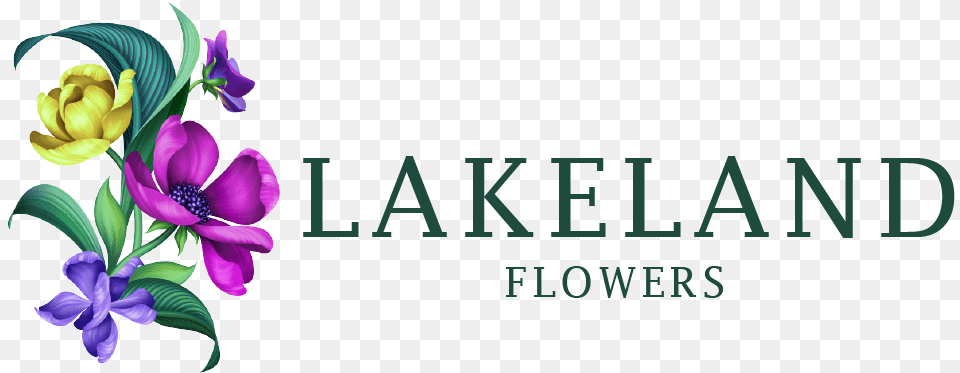 Lakeland Fl Florist Flower, Iris, Plant, Purple, Art Png