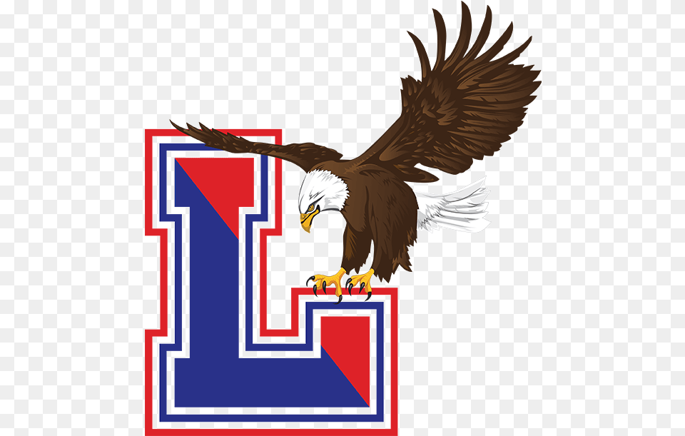 Lakes Eagles Logo Eagle Transparent, Animal, Bird Png