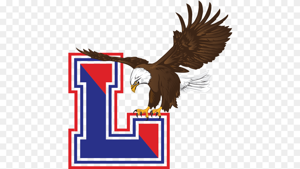 Lakes Eagles Logo Images, Animal, Bird, Eagle, Beak Free Transparent Png