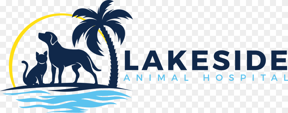 Lakeside Animal Hospital Masai Lion, Vegetation, Plant, Pet, Canine Free Png Download