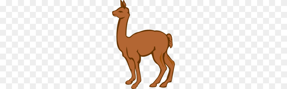 Lama Clip Art, Animal, Llama, Mammal, Person Free Png