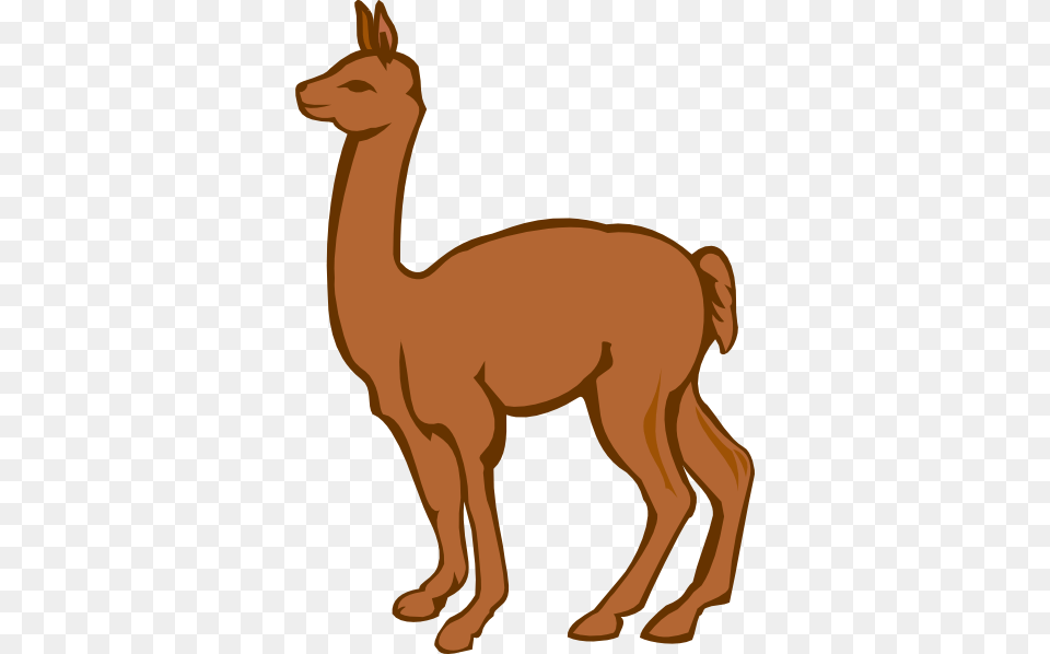 Lama Clipart Cute, Animal, Mammal, Llama, Kangaroo Free Png