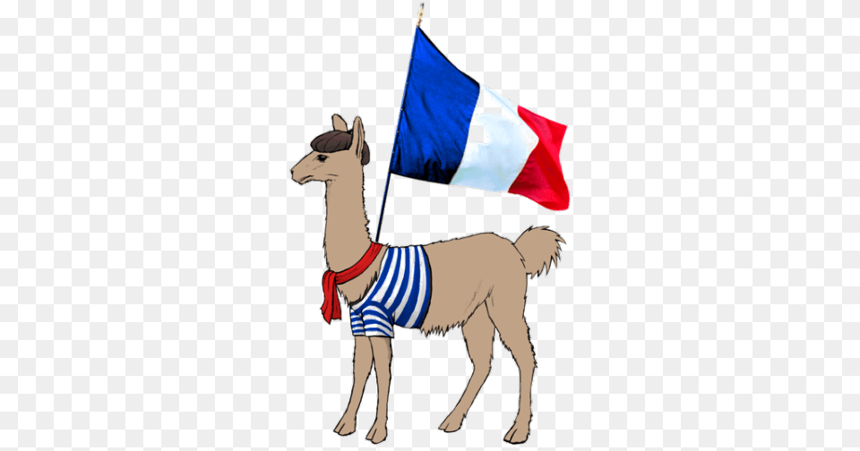 Lama Francais French The Llama, Animal, Horse, Mammal, Person Free Png