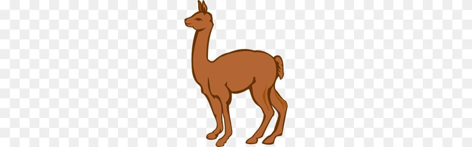 Lama Images Icon Cliparts, Animal, Llama, Mammal, Person Png Image