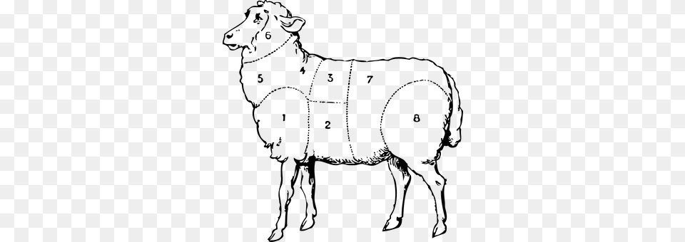 Lamb Livestock, Animal, Mammal Png Image