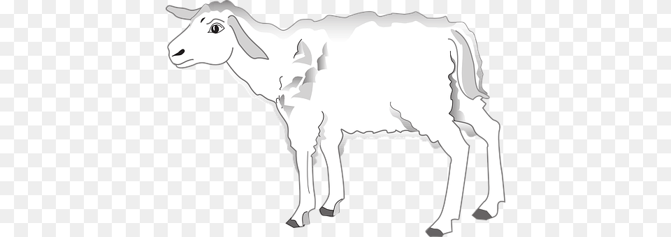 Lamb Livestock, Animal, Mammal, Goat Png Image