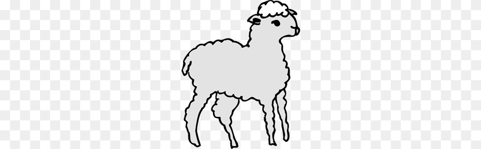 Lamb Art Clip Arts For Web, Stencil, Adult, Bride, Female Free Transparent Png