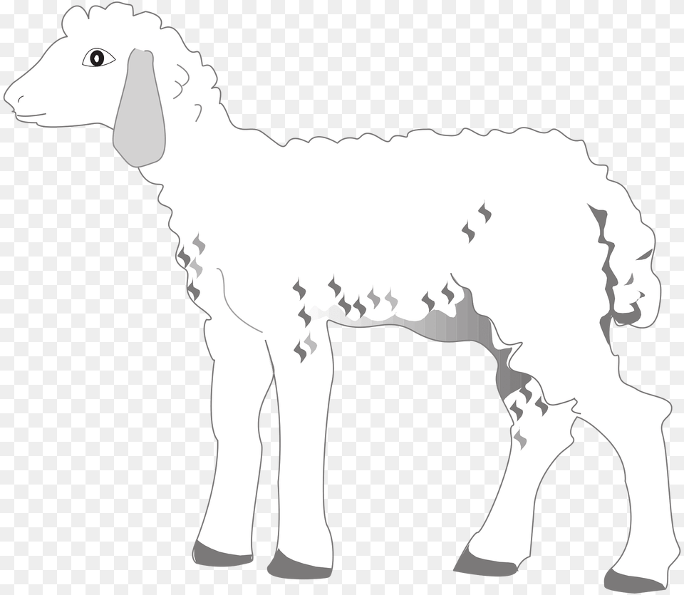 Lamb Clipart, Livestock, Animal, Mammal, Face Png
