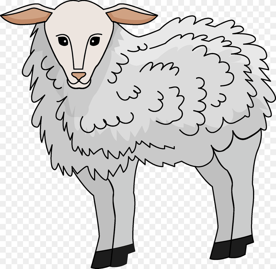 Lamb Clipart, Livestock, Person, Animal, Mammal Free Png Download