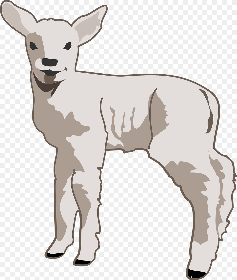 Lamb Clipart, Livestock, Adult, Animal, Male Png Image