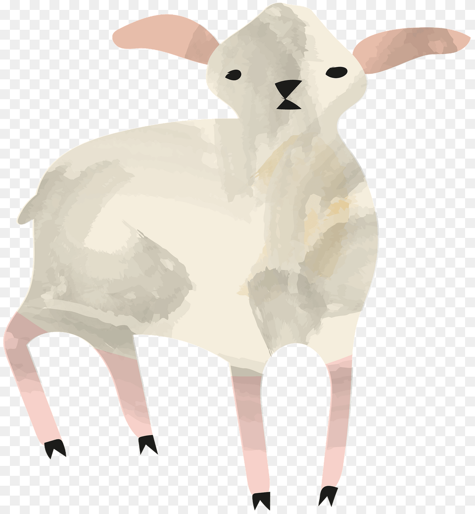 Lamb Clipart, Animal, Livestock, Mammal, Sheep Free Png