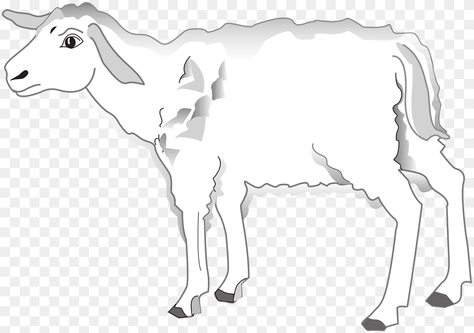 Lamb Clipart, Livestock, Animal, Mammal, Goat Free Png