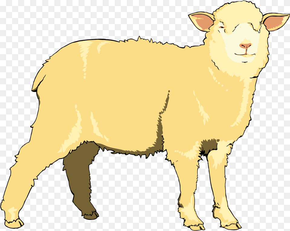 Lamb Clipart Goat Sheep, Livestock, Animal, Mammal, Face Png Image